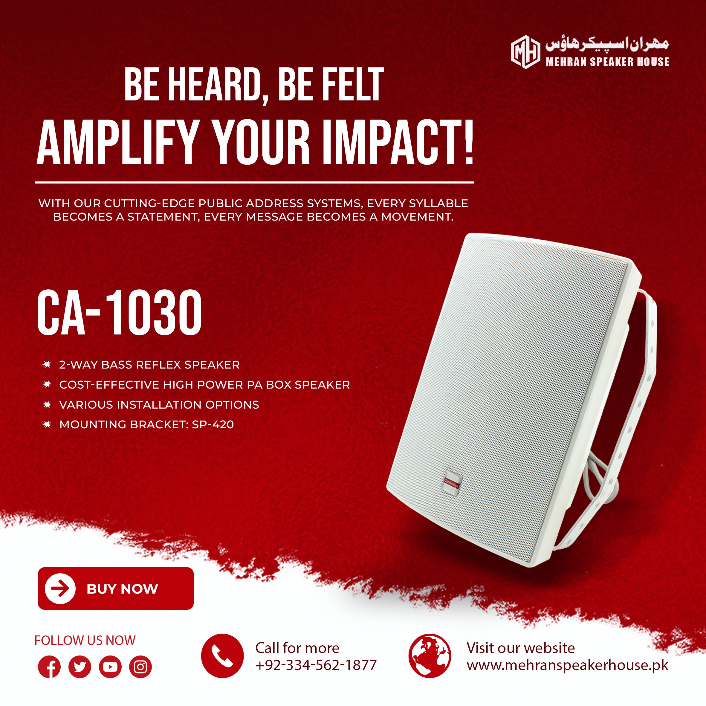 CA-1030.jpg Cambridge CA-1030 Wall Speaker - Image 1